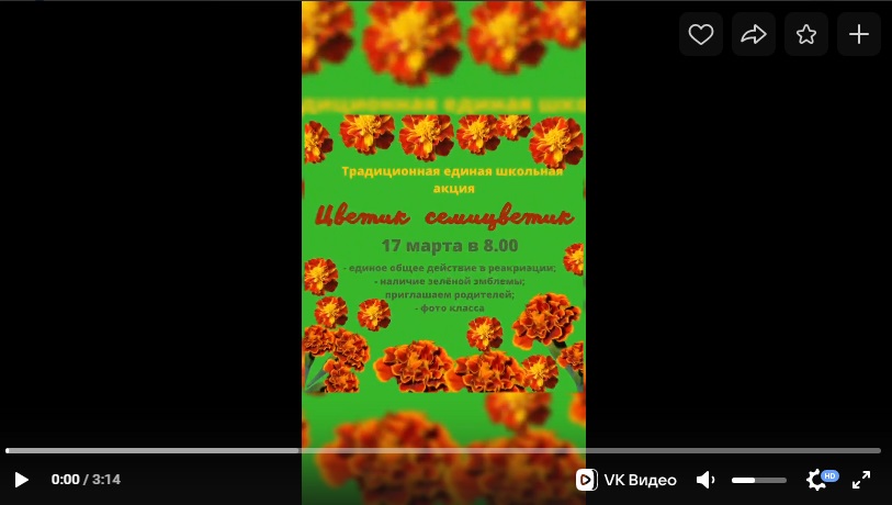 Социально - экологическая акция "Цветик-семицветик"